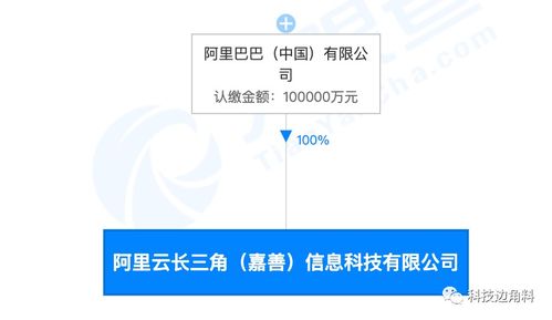 阿里云長三角信息科技公司正式成立，注冊資本10億布局數(shù)據(jù)處理與存儲服務(wù)